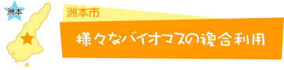 様々なバイオマスの複合利用