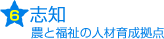 志知