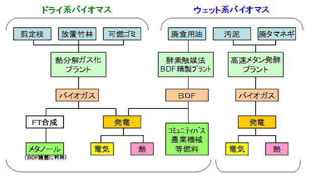 バイオマスの複合利用のイメージ